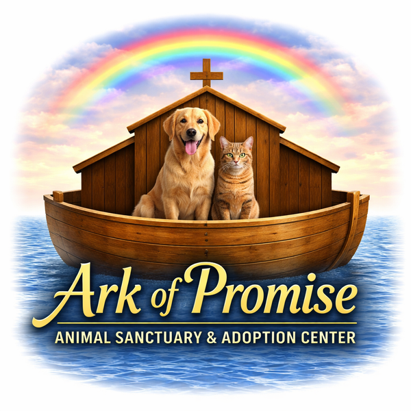 Ark of Promise