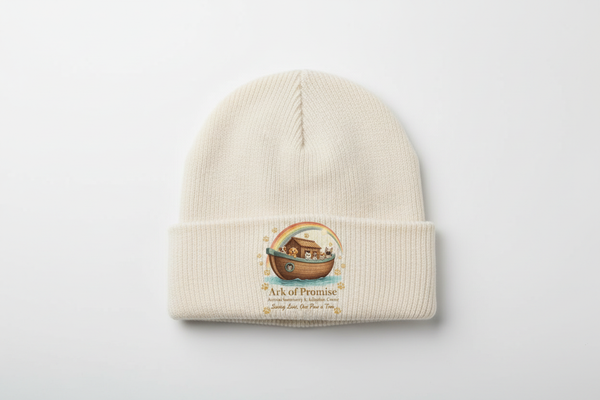 Ark & Rainbow Beanie