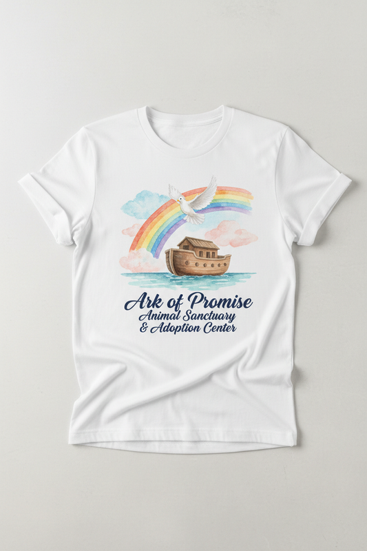 Design 6 Shirt Mockup