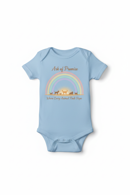 Rainbow Walk Onesie Brown Text