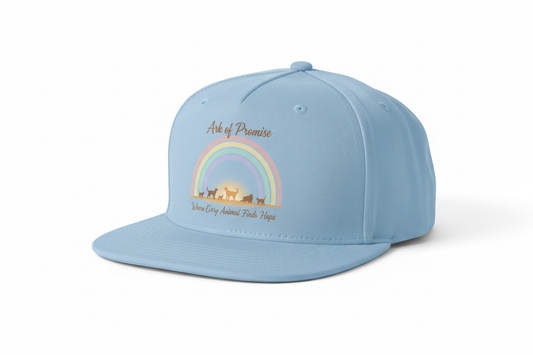 Rainbow Walk Snapback Brown Text
